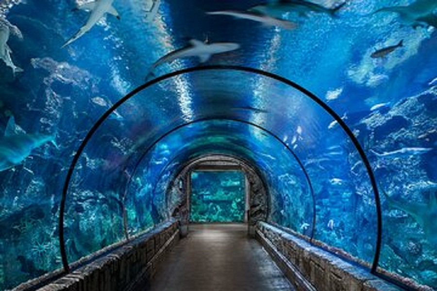 Grand Aquarium - Hurghada | Falcon Tour