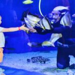 Grand_Aquarium_Hurghada_457507