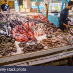 display-of-different-fishes-fishing-in-the-red-sea-on-the-walk-of-the-old-marina-of-the-city-of-hurghada-in-egypt-T3KD86