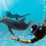 b251420e21601389fa396695313405f8.jpg_2020-02-17-01-33-40