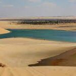 fayoum Falcon Tour