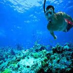 Coral Garden Schnorchelausflug Marsa Alam2